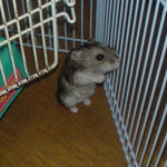 オロオロしているのんちゃん