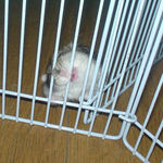 珍しい、カジカジ中ののんちゃん