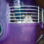 ケージカジカジ中のユウキ