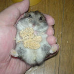 正面からの画です