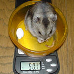 先週とあまり変わらず