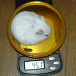 アイも体重あまり変わらず