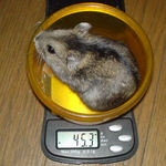 のんちゃんも余り変わらず