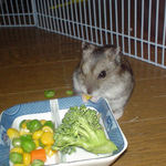 もう一つオマケにいただいています