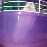 ケージカジカジ中のユウキ