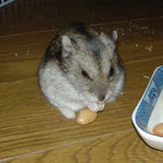 蒸し大豆を食べるユウキ