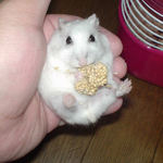 いちおう、カメラを気にしてみる