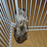 おや、昨日より反応がいい