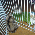 のんちゃんは必死です