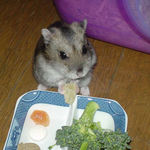 乾燥パイナップルを食べるユウキ