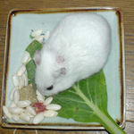 コメコメポップも食べてます