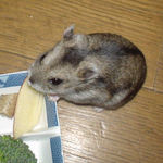 りんごを食べるユウキ