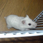 早く、エサくれ～