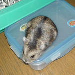 自ら出てきたのんちゃん