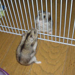 のんちゃんと対峙するユウキ