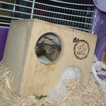 巣箱に篭っているユウキ