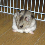 サークルの端にいました