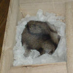 地下室に居るユウキ