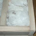 寝室で毛づくろい中