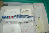 のんちゃんの巣箱