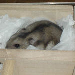 寝室に居ました