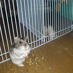 のんちゃん、必死のカジカジ。ユウキはキョトン。