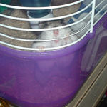 ケージカジカジ～