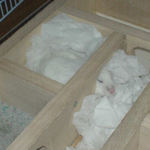 まだ、眠ってました