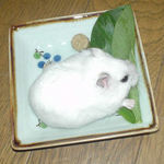 小松菜を齧るアイ