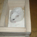 地下室でくつろぎ中