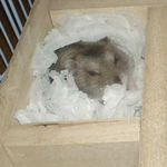 眠そうな表情のユウキ