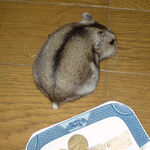 ユウキの後ろ姿