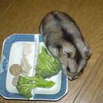 お皿の角に臭い付けです