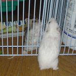 アイが戻ってきました