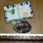 ブロッコリーを食べてるのんちゃん