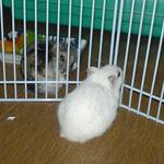 今日はいい感じ