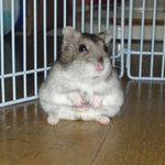 座り込むユウキ