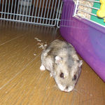 近づいてくるユウキ