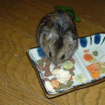 あれこれ悩み中