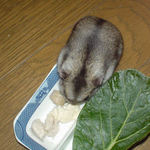 男前豆腐を食べるユウキ