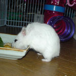 横からのアングル