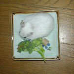 エサ皿に向かうアイ