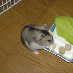 豆腐を食べるユウキ