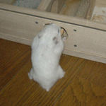 りんごチップがひっかかってます