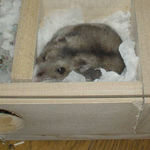 寝室にいたユウキ