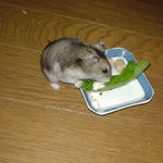 ジョニーはうまいみたい