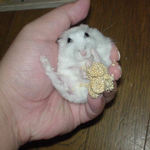 もう、夢中です