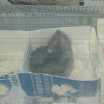 のんちゃん、起きていました