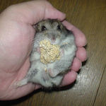 ちょっと緊張気味