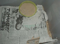 新聞紙がボロボロです